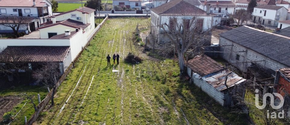 Land in Madalena e Samaiões of 23,834 m²