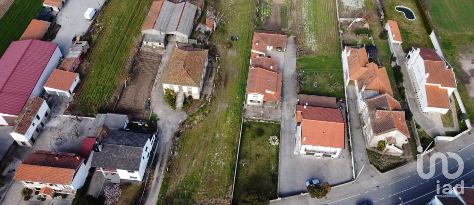 Land in Madalena e Samaiões of 23,834 m²