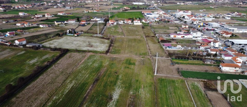 Land in Madalena e Samaiões of 23,834 m²