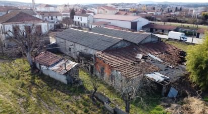 Terrain à Madalena e Samaiões de 23 834 m²