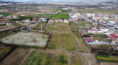 Terrain à Madalena e Samaiões de 23 834 m²