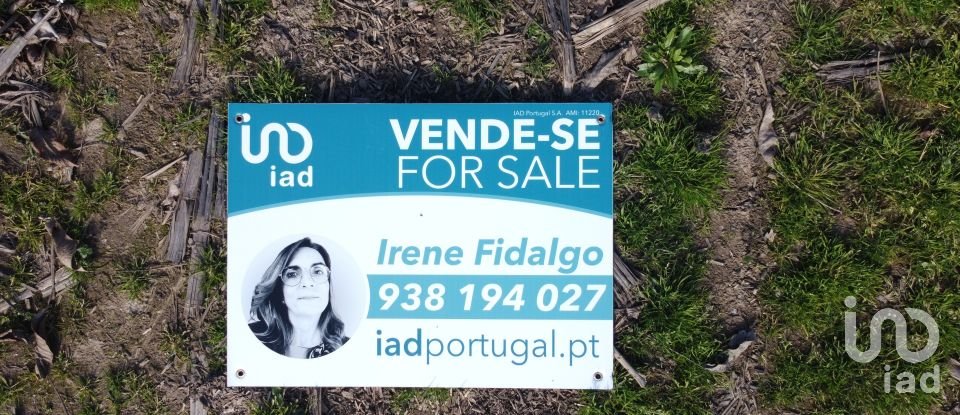 Land in Madalena e Samaiões of 23,834 m²