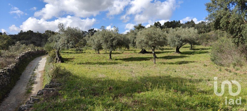 Terreno em Aranhas de 2 640 m²