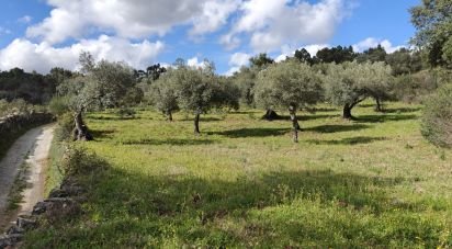 Land in Aranhas of 2,640 m²