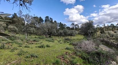 Land in Aranhas of 2,640 m²