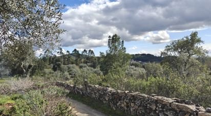Land in Aranhas of 2,640 m²
