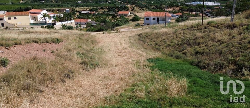 Terreno em Silves de 4 075 m²