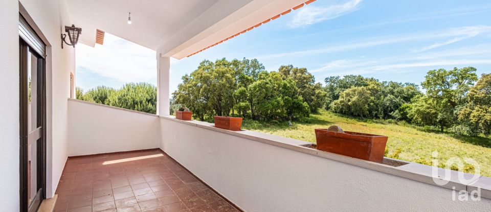 Farm T5 in Landal of 570 m²