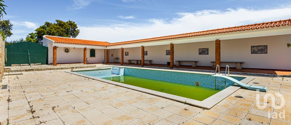 Farm T5 in Landal of 570 m²