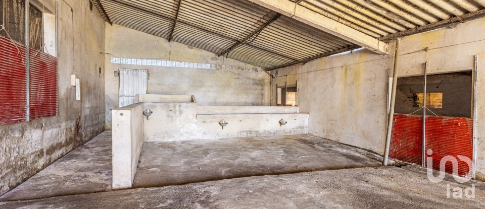 Farm T5 in Landal of 570 m²