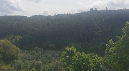 Terrain à Cardigos de 14 450 m²