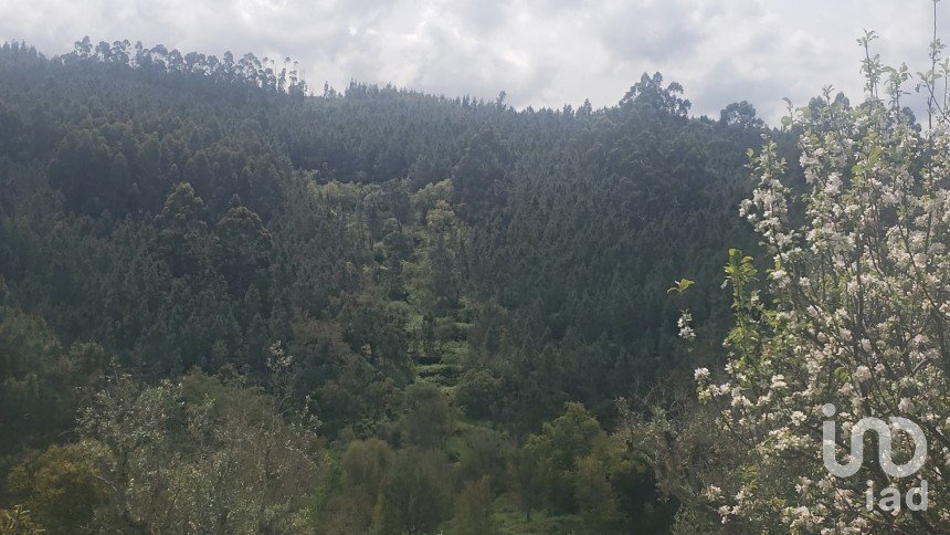 Land in Cardigos of 14,450 m²