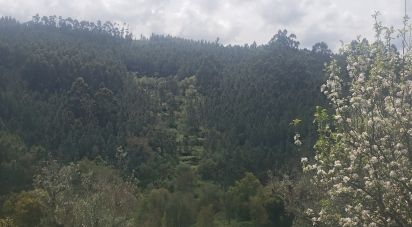 Terrain à Cardigos de 14 450 m²