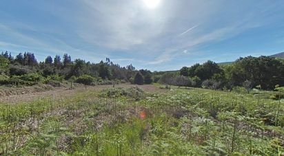 Maison T4 à Castanheira de Pêra e Coentral de 286 m²