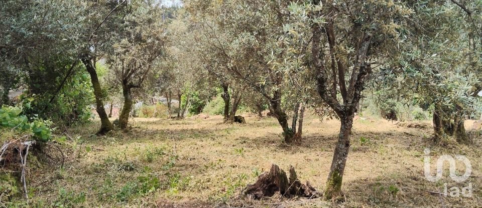 Village house T0 in Castanheira de Pêra e Coentral of 44 m²