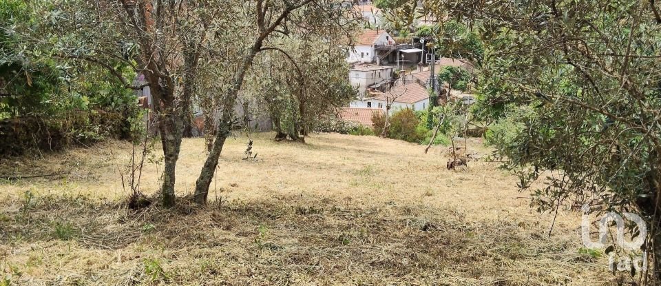 Village house T0 in Castanheira de Pêra e Coentral of 44 m²