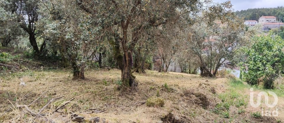 Village house T0 in Castanheira de Pêra e Coentral of 44 m²