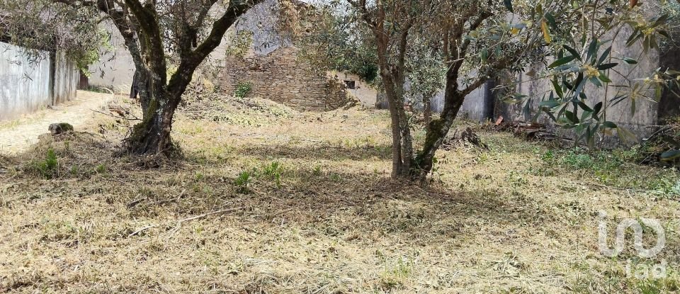 Village house T0 in Castanheira de Pêra e Coentral of 44 m²