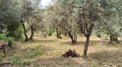 Maison de village T0 à Castanheira de Pêra e Coentral de 44 m²