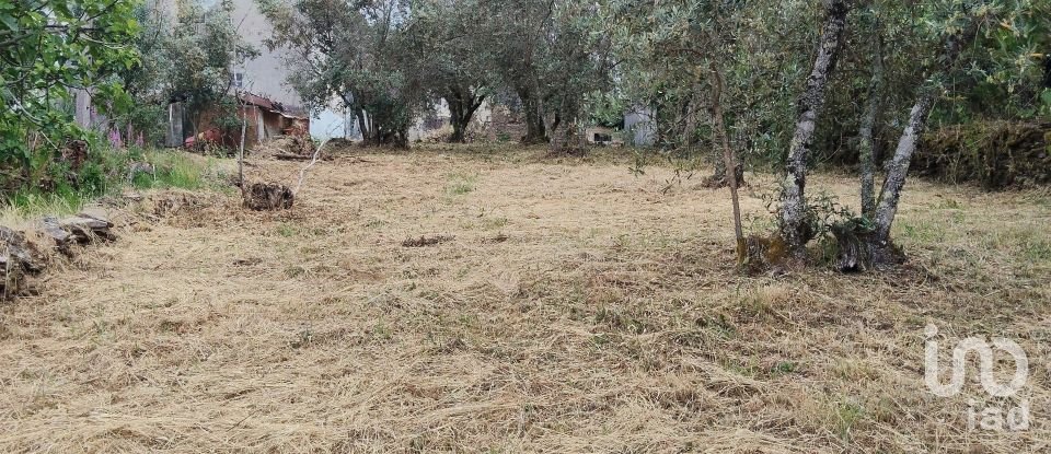 Village house T0 in Castanheira de Pêra e Coentral of 44 m²