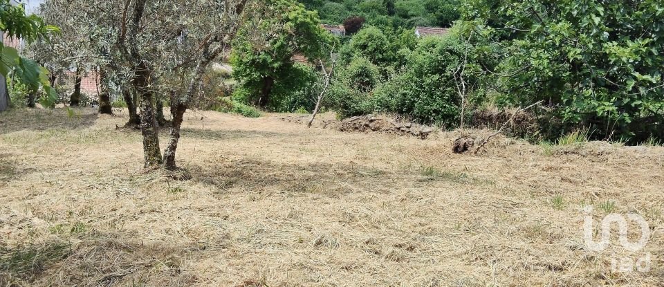 Village house T0 in Castanheira de Pêra e Coentral of 44 m²