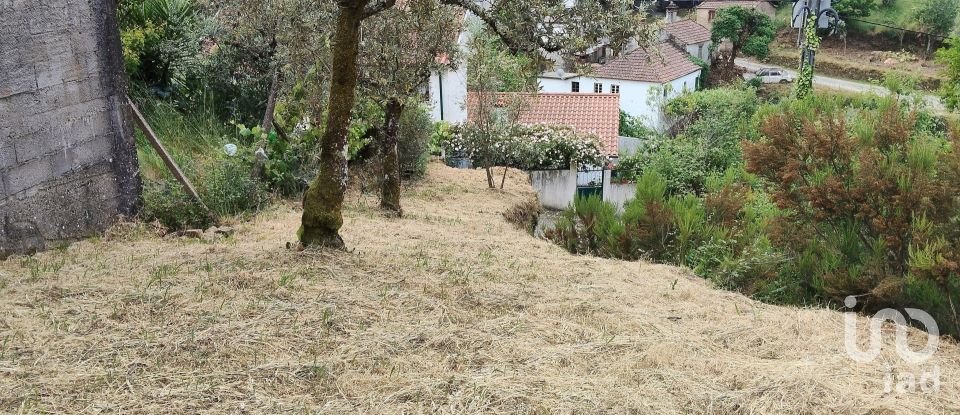 Village house T0 in Castanheira de Pêra e Coentral of 44 m²