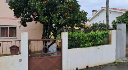 House T4 in Campos e Vila Meã of 254 m²