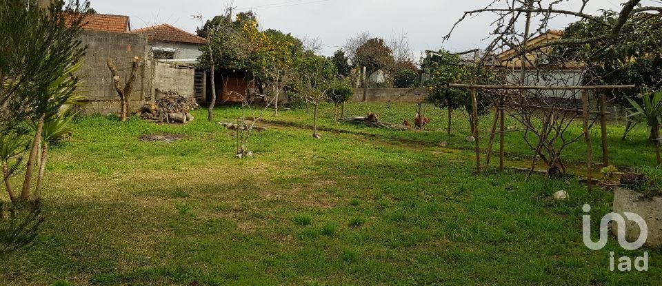 Moradia T4 em Campos e Vila Meã de 254 m²