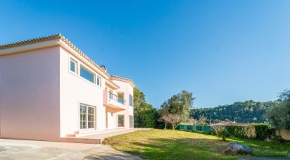 Gîte T4 à Sintra (Santa Maria e São Miguel, São Martinho e São Pedro de Penaferrim) de 308 m²