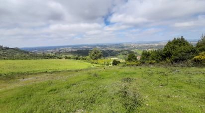 Land in Lamas e Cercal of 22,000 m²