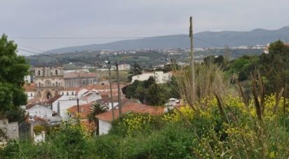 Terrain à Alcobaça e Vestiaria de 3 454 m²
