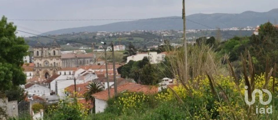 Terrain à Alcobaça e Vestiaria de 3 454 m²