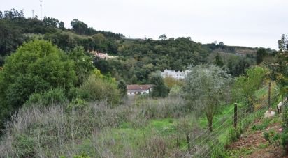 Terrain à Alcobaça e Vestiaria de 3 454 m²