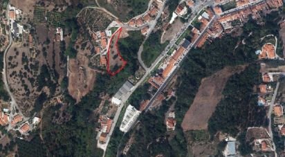 Terrain à Alcobaça e Vestiaria de 3 454 m²