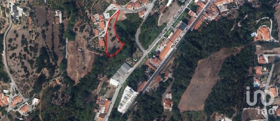 Terrain à Alcobaça e Vestiaria de 3 454 m²