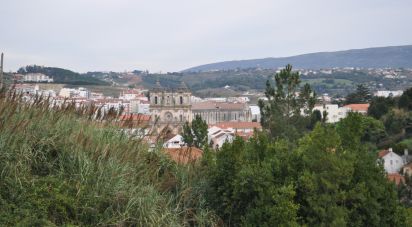 Terrain à Alcobaça e Vestiaria de 3 454 m²