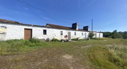 Terrain à São Facundo e Vale das Mós de 568 000 m²