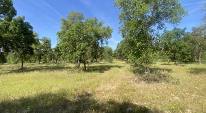 Terrain à São Facundo e Vale das Mós de 568 000 m²