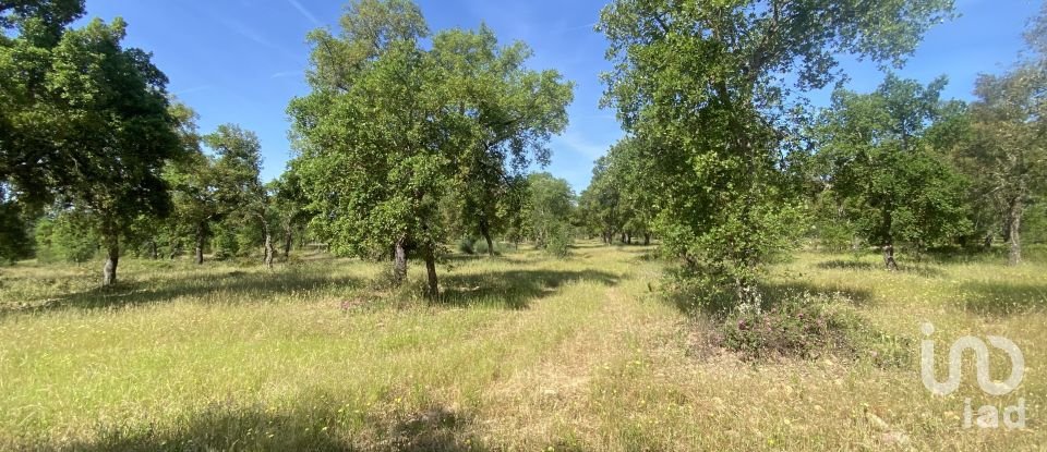 Terreno em São Facundo e Vale das Mós de 568 000 m²