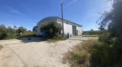 Terrain à São Facundo e Vale das Mós de 568 000 m²