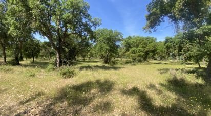 Terrain à São Facundo e Vale das Mós de 568 000 m²