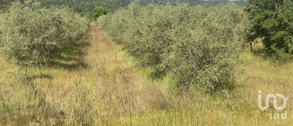 Terreno em São Facundo e Vale das Mós de 568 000 m²