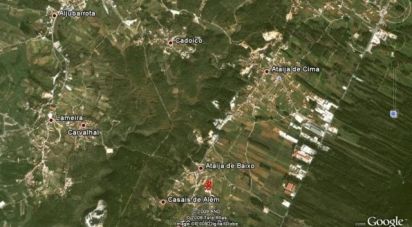 Terrain à Aljubarrota de 2 196 m²