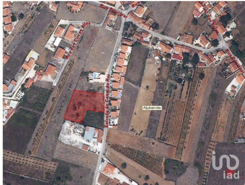 Terrain à Aljubarrota de 2 196 m²