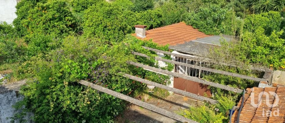 Maison T3 à Poiares (Santo André) de 126 m²