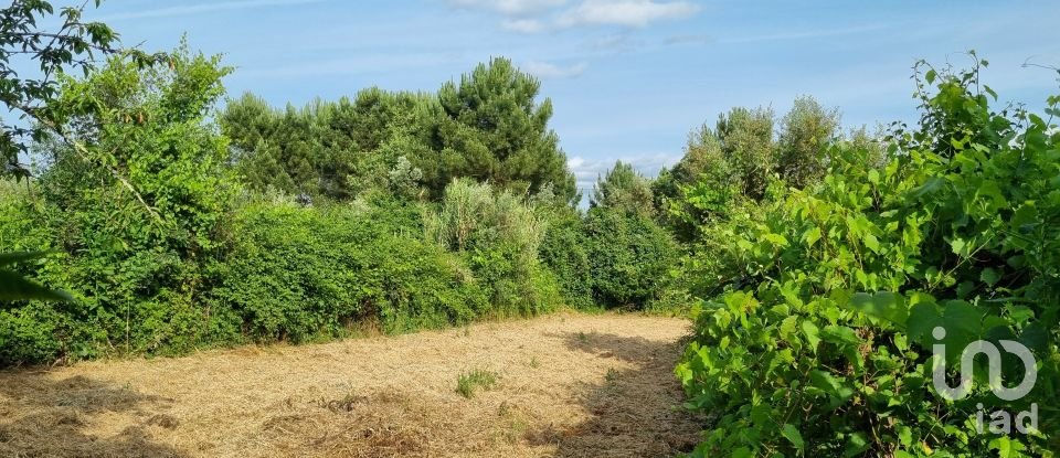 Maison T3 à Poiares (Santo André) de 126 m²