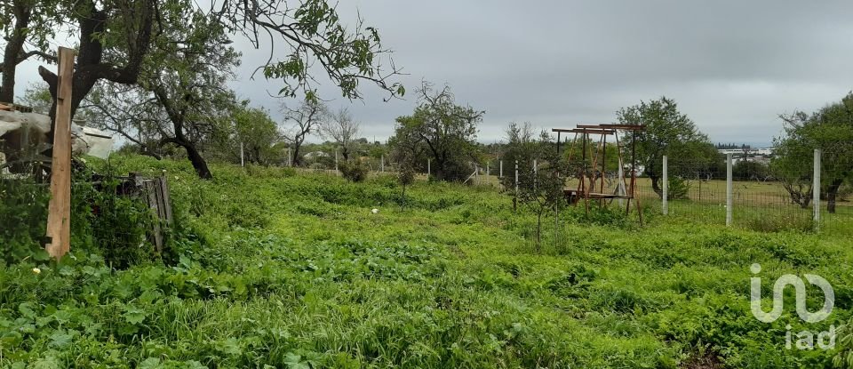 House T5 in Guia of 368 m²