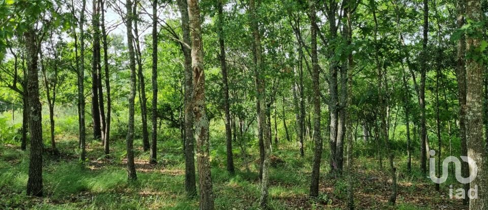 Terrain à bâtir à Lousã e Vilarinho de 814 m²