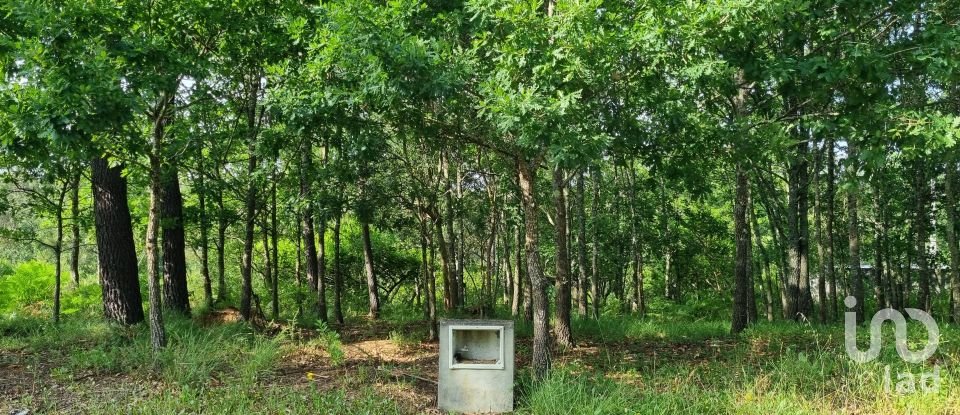 Terrain à bâtir à Lousã e Vilarinho de 814 m²
