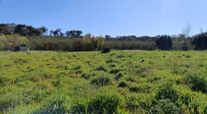 Terrain à Cela de 1 585 m²